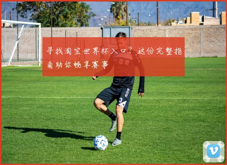 寻找淘宝世界杯入口？这份完整指南助你畅享赛事