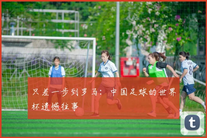 只差一步到罗马:中国足球的世界杯遗憾往事