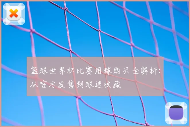 篮球世界杯比赛用球购买全解析：从官方发售到球迷收藏