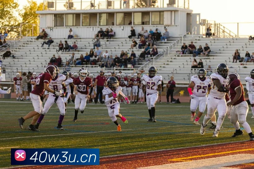 乐鱼首页平台生态图
