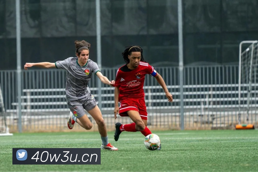 乐鱼首页APP 封面图